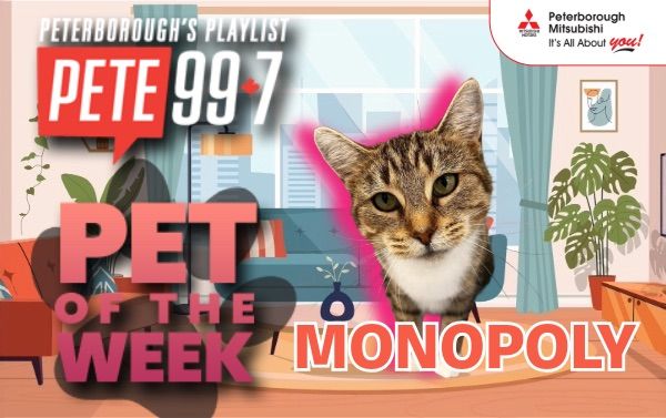 Pet of The Week - Monopoly 