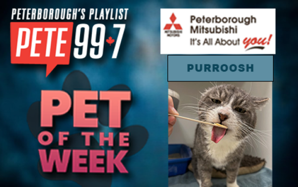 Pet of The Week