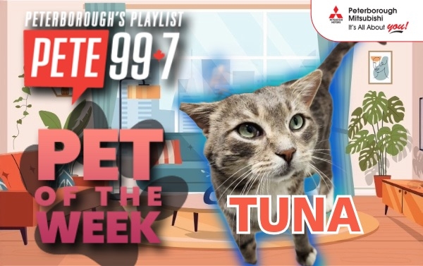 Pet of The Week - Tuna 