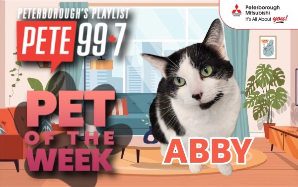 Pet of The Week - Abby