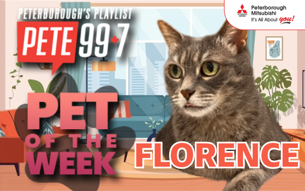 Pet of The Week - Florence